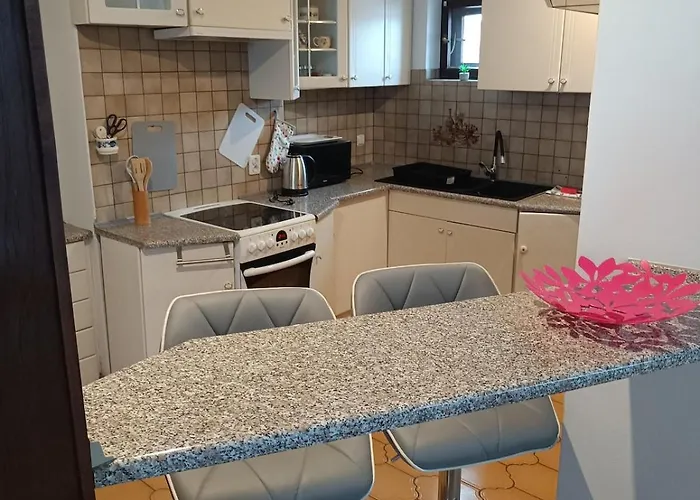 Paula ヴァドヴィツェ